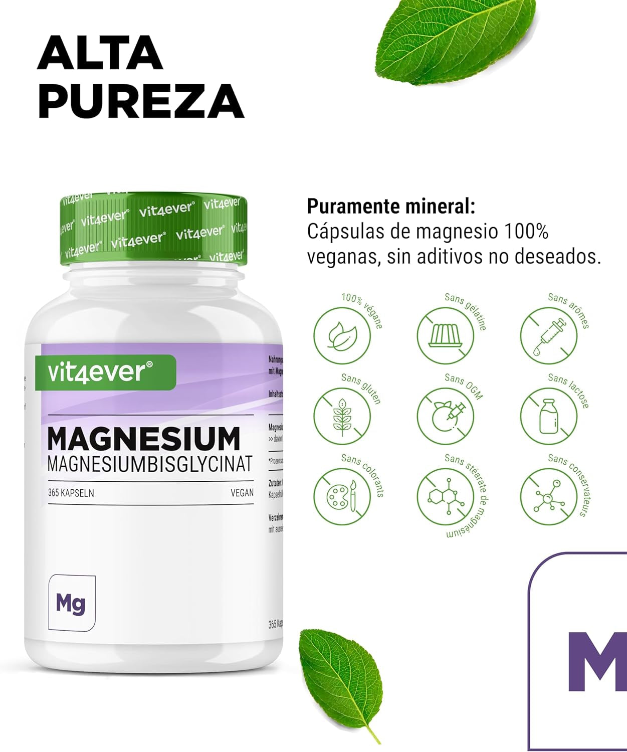 Bisglicinato De Magnesio - 365 Cápsulas - Premium: Magnesio Quelado - 155 Mg De Magnesio Elemental Por Cápsula - Vegano - Fórmula De Alta Dosis