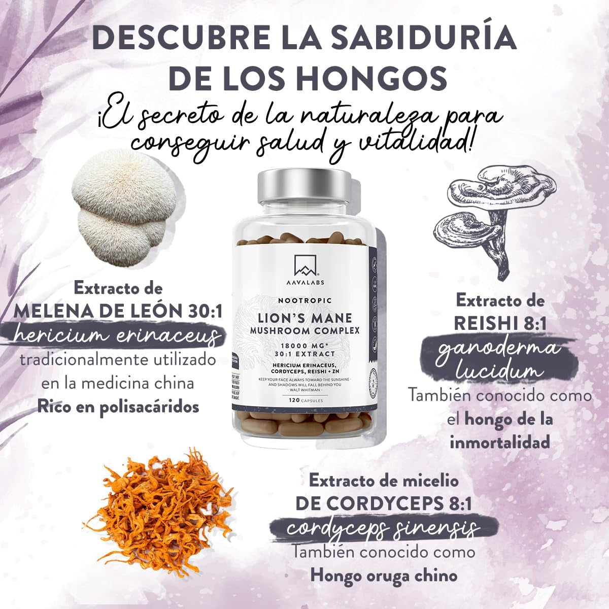 Melena De Leon 18,000Mg (30:1) + Zinc, Reishi & Cordyceps - Alta Potencia Lions Mane Mushroom Pastillas -120 Melena De Leon Capsulas - Nootropicos