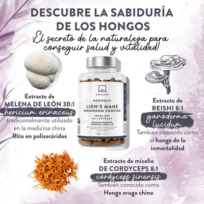 Melena De Leon 18,000Mg (30:1) + Zinc, Reishi & Cordyceps - Alta Potencia Lions Mane Mushroom Pastillas -120 Melena De Leon Capsulas - Nootropicos