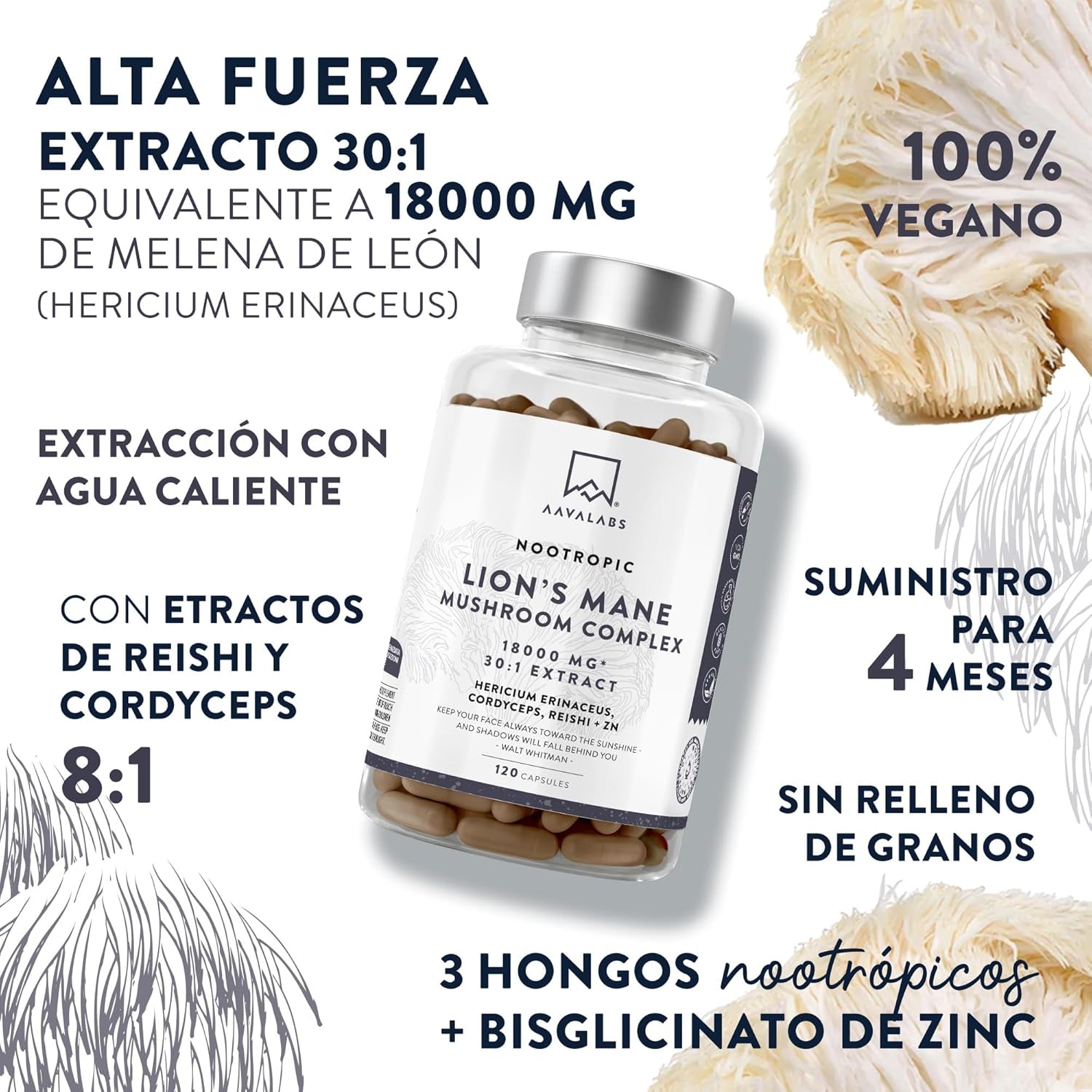 Melena De Leon 18,000Mg (30:1) + Zinc, Reishi & Cordyceps - Alta Potencia Lions Mane Mushroom Pastillas -120 Melena De Leon Capsulas - Nootropicos