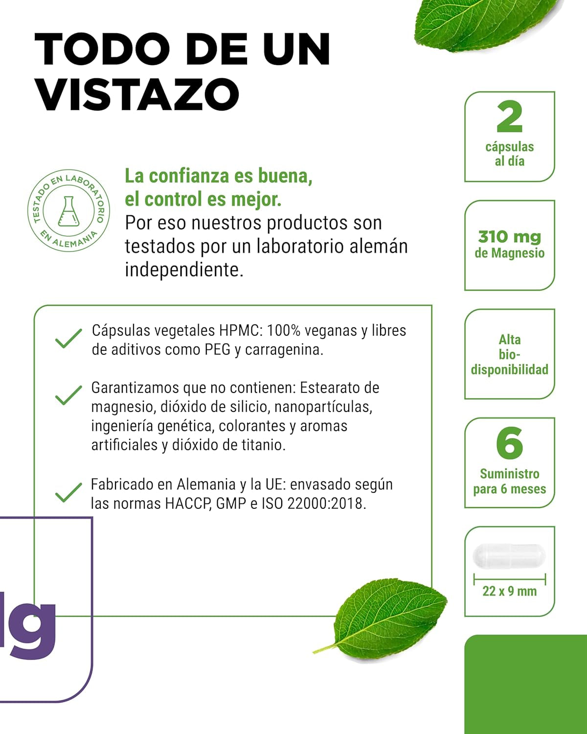 Bisglicinato De Magnesio - 365 Cápsulas - Premium: Magnesio Quelado - 155 Mg De Magnesio Elemental Por Cápsula - Vegano - Fórmula De Alta Dosis
