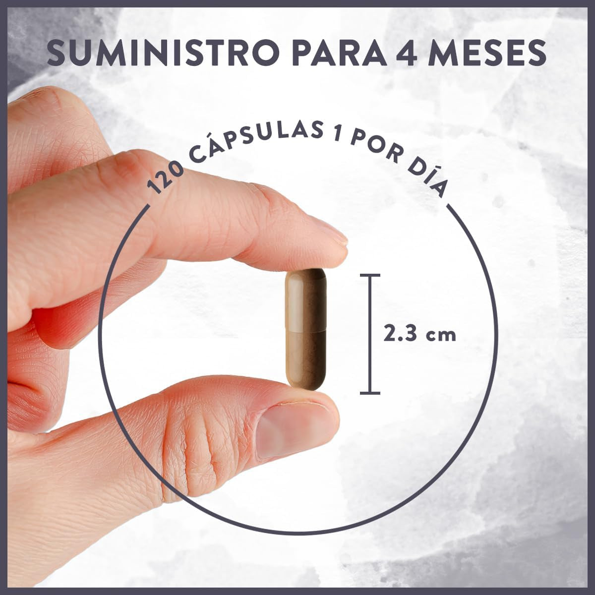 Melena De Leon 18,000Mg (30:1) + Zinc, Reishi & Cordyceps - Alta Potencia Lions Mane Mushroom Pastillas -120 Melena De Leon Capsulas - Nootropicos