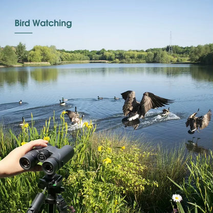 SV202 ED Long Range Binoculars 8X32/8X42/10X42,Ipx7 Waterproof FMC Bak4,Bird Watching,Stargazing,Camping,Travel,Astronomy