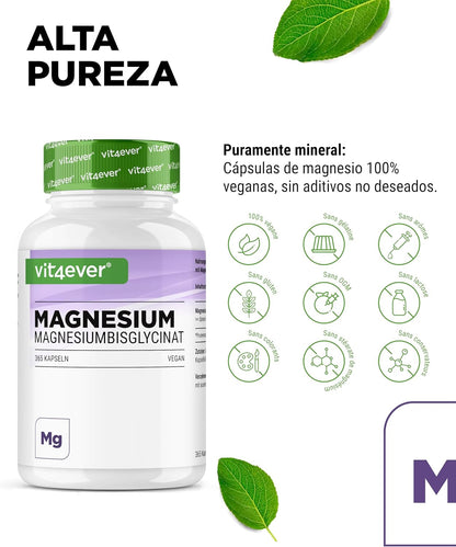 Bisglicinato De Magnesio - 365 Cápsulas - Premium: Magnesio Quelado - 155 Mg De Magnesio Elemental Por Cápsula - Vegano - Fórmula De Alta Dosis